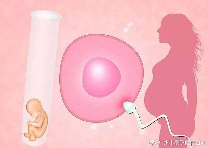 供卵试管哪家安全